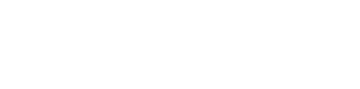 ONETURTLE