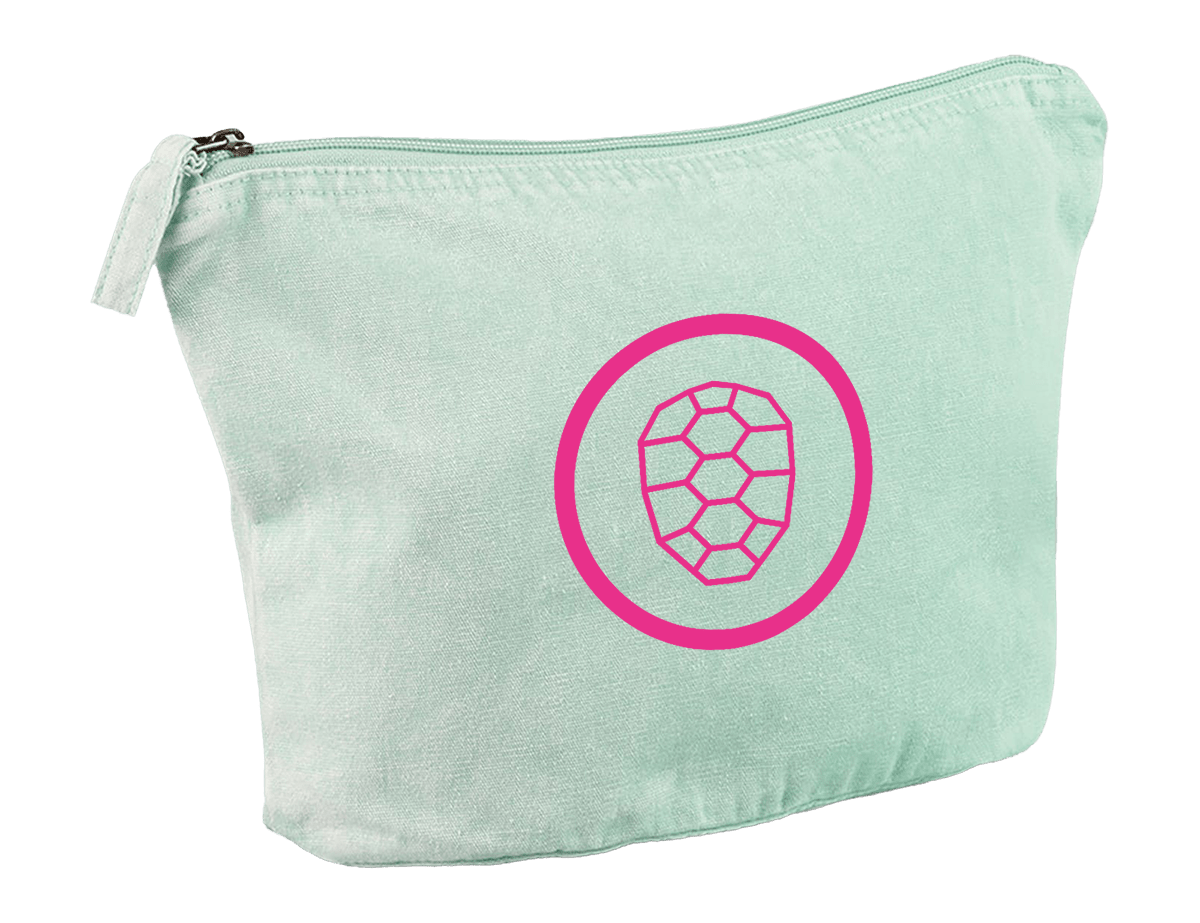 Accessory Bag in Vintage Aqua - ONETURTLE