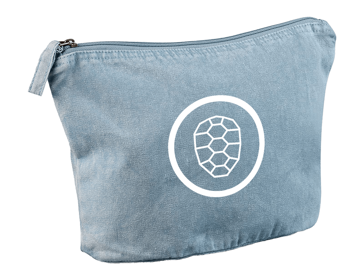Accessory Bag in Vintage Light Blue - ONETURTLE