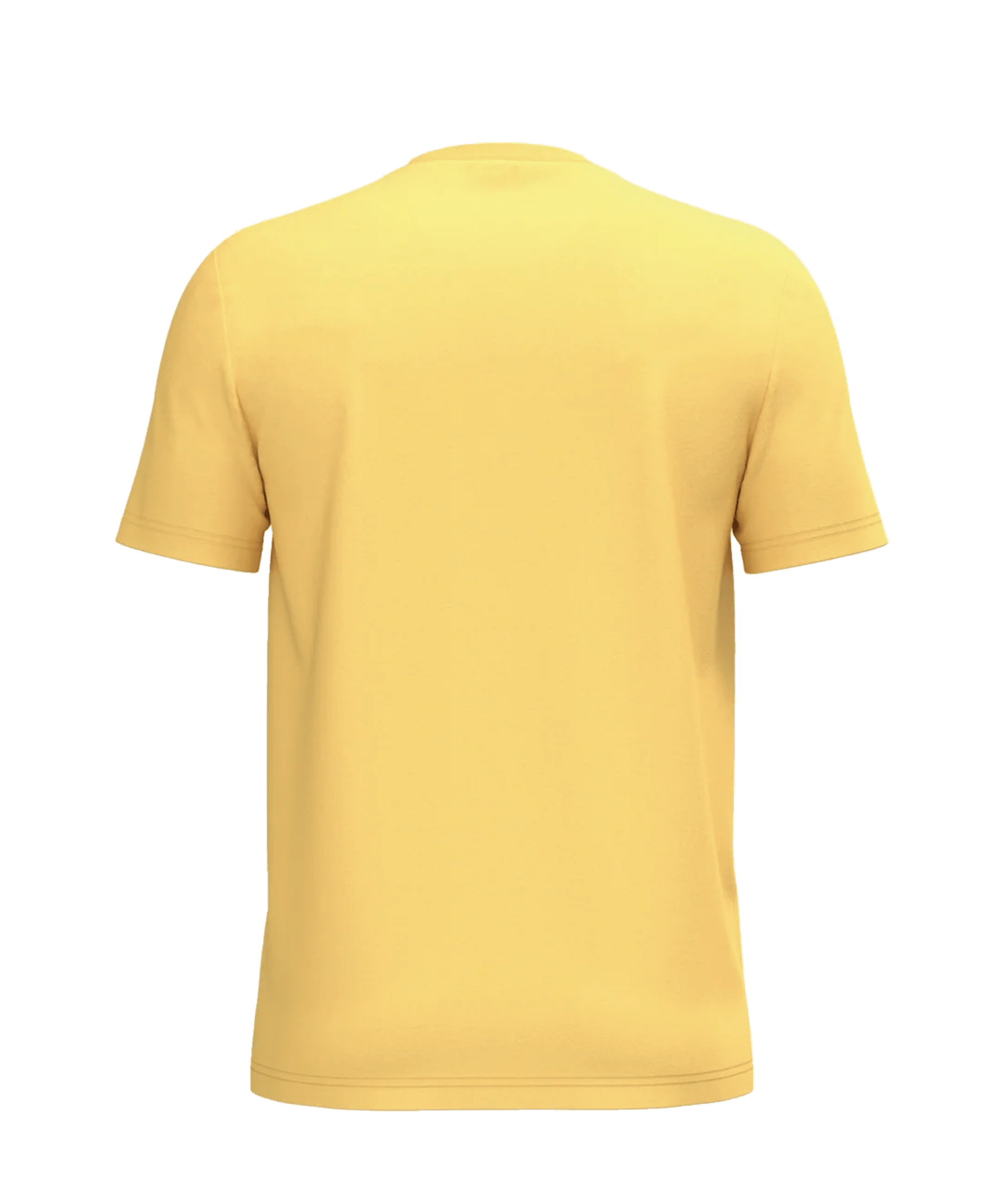 EcoWave 2.0 in Pineapple - ONETURTLE