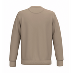 PlanetAir sweatshirt in wet sand, back view