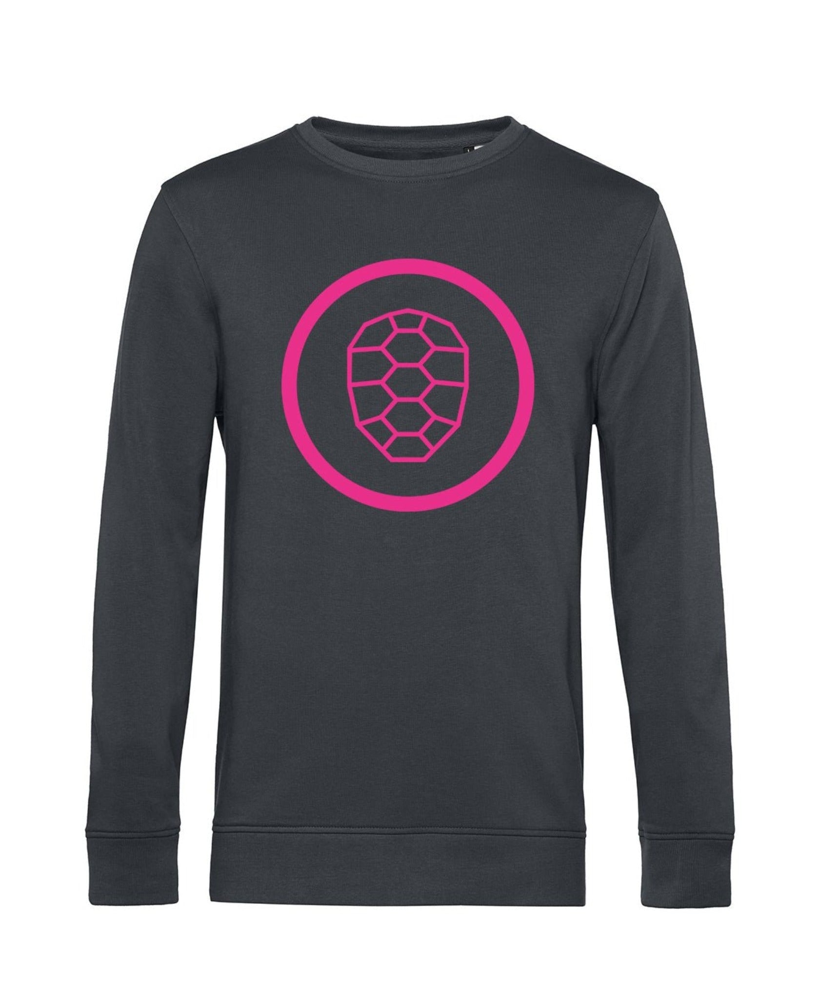 Organic Sweatshirt in Asphalt - ONETURTLE