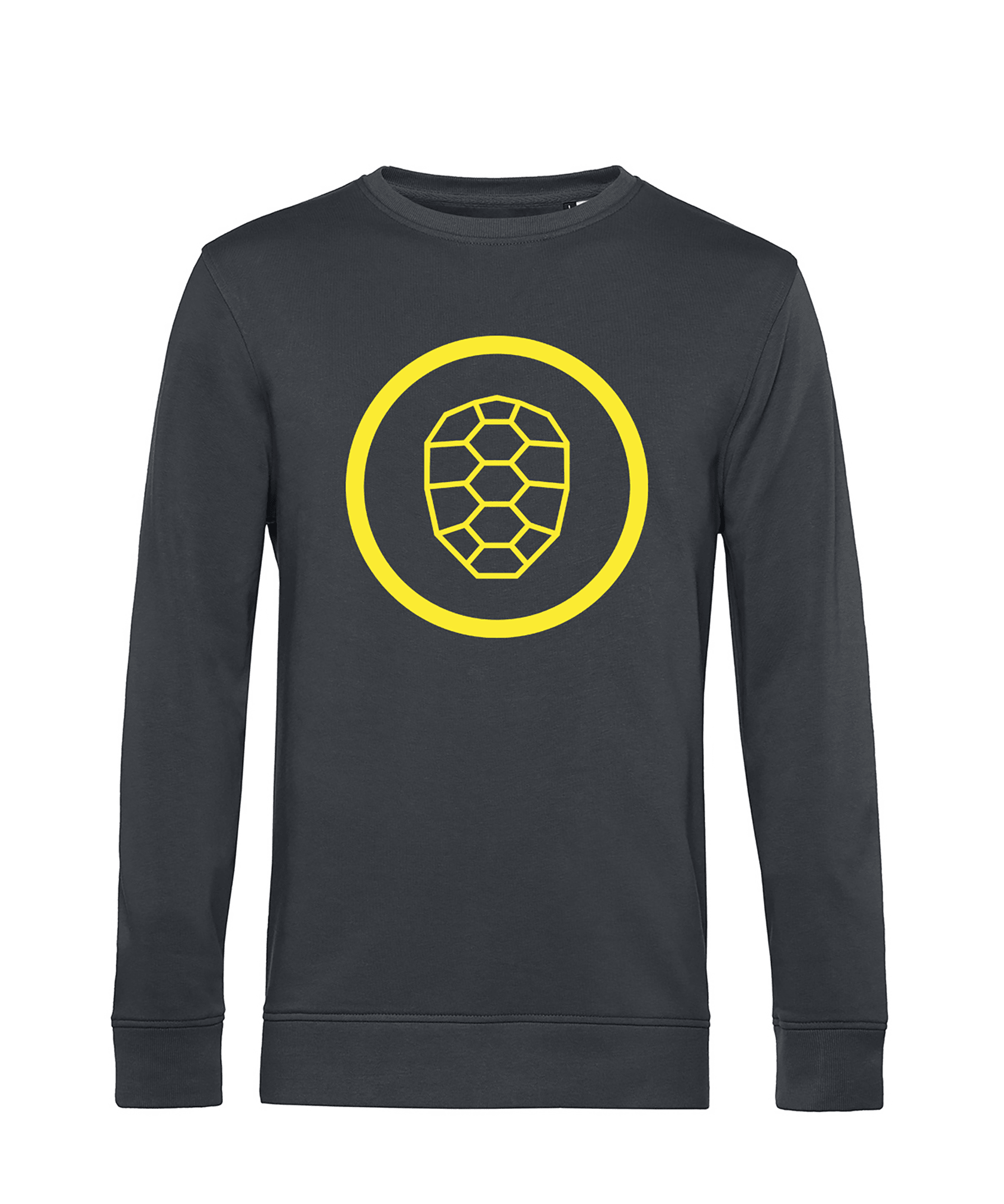 Organic Sweatshirt in Asphalt - ONETURTLE