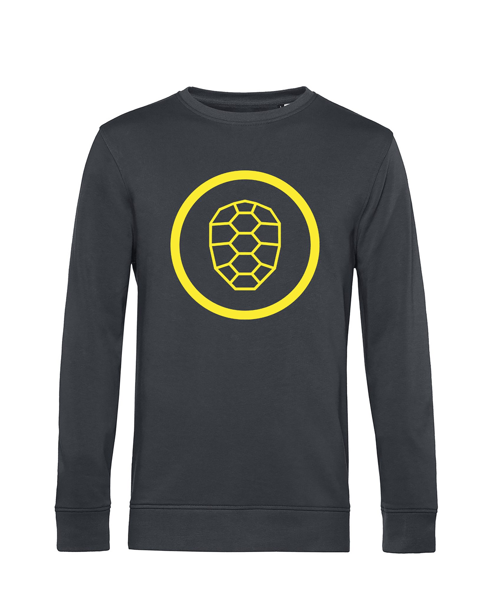 Organic Sweatshirt in Asphalt - ONETURTLE
