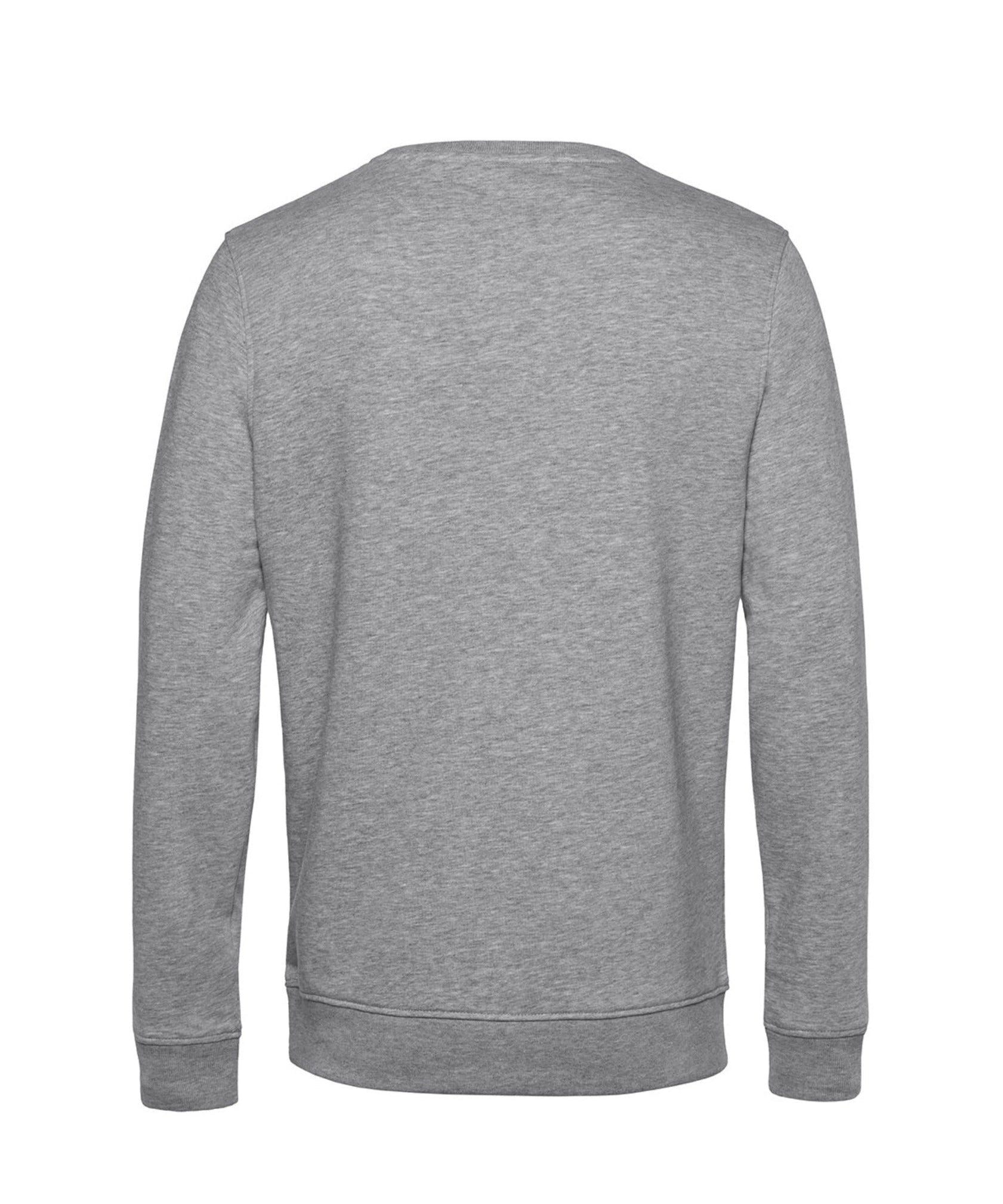 Organic Sweatshirt in Heather Grey - ONETURTLE