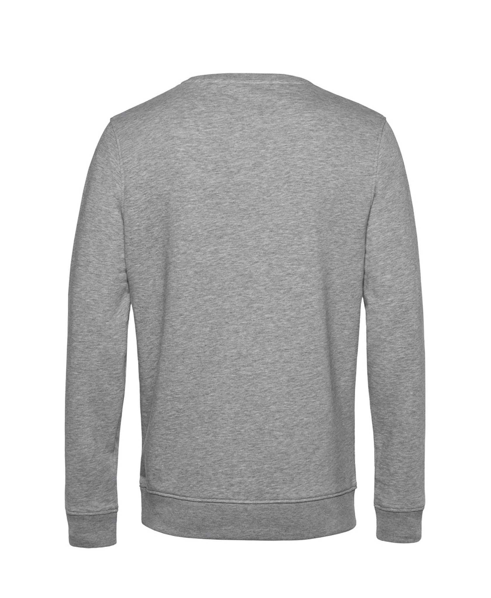 Organic Sweatshirt in Heather Grey - ONETURTLE