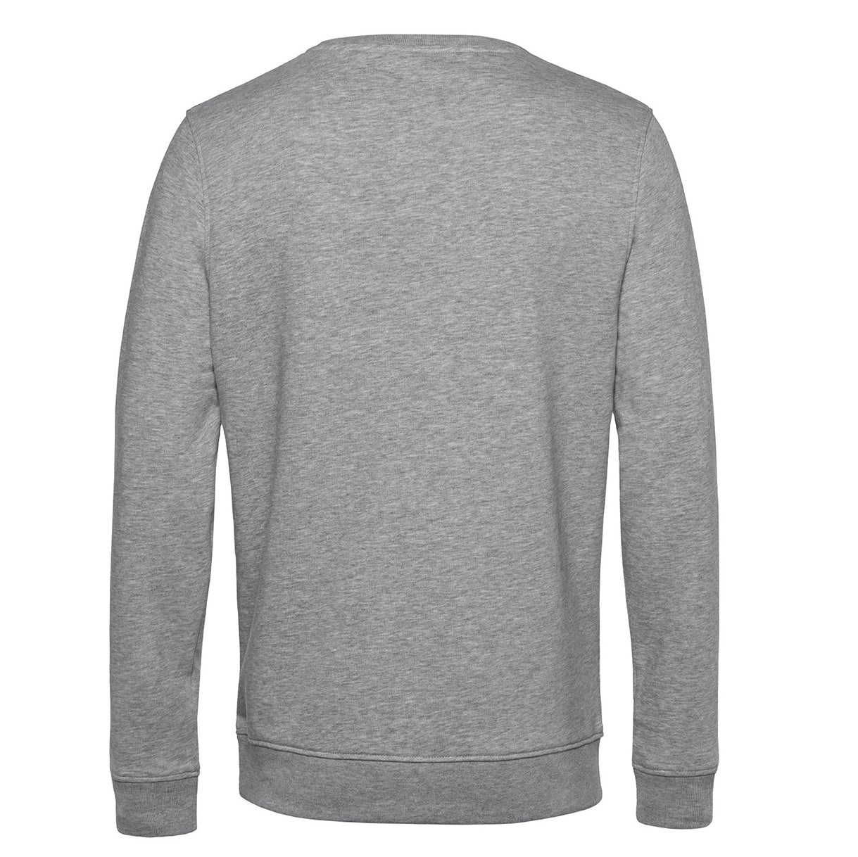 Organic Sweatshirt in Heather Grey - ONETURTLE